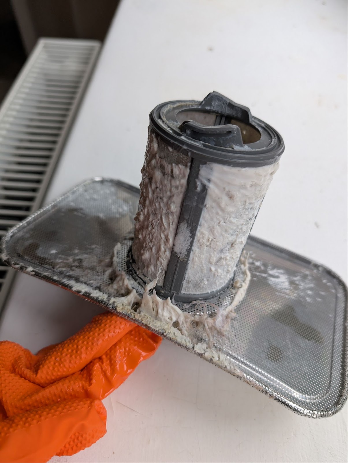 Scrubbed Cleaning Portfolio Image