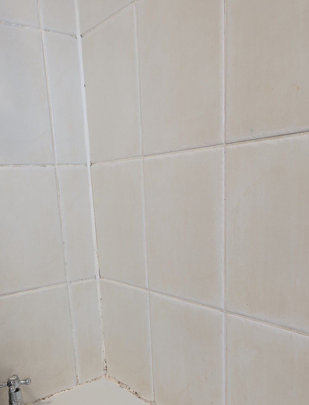 Scrubbed Cleaning Portfolio Image
