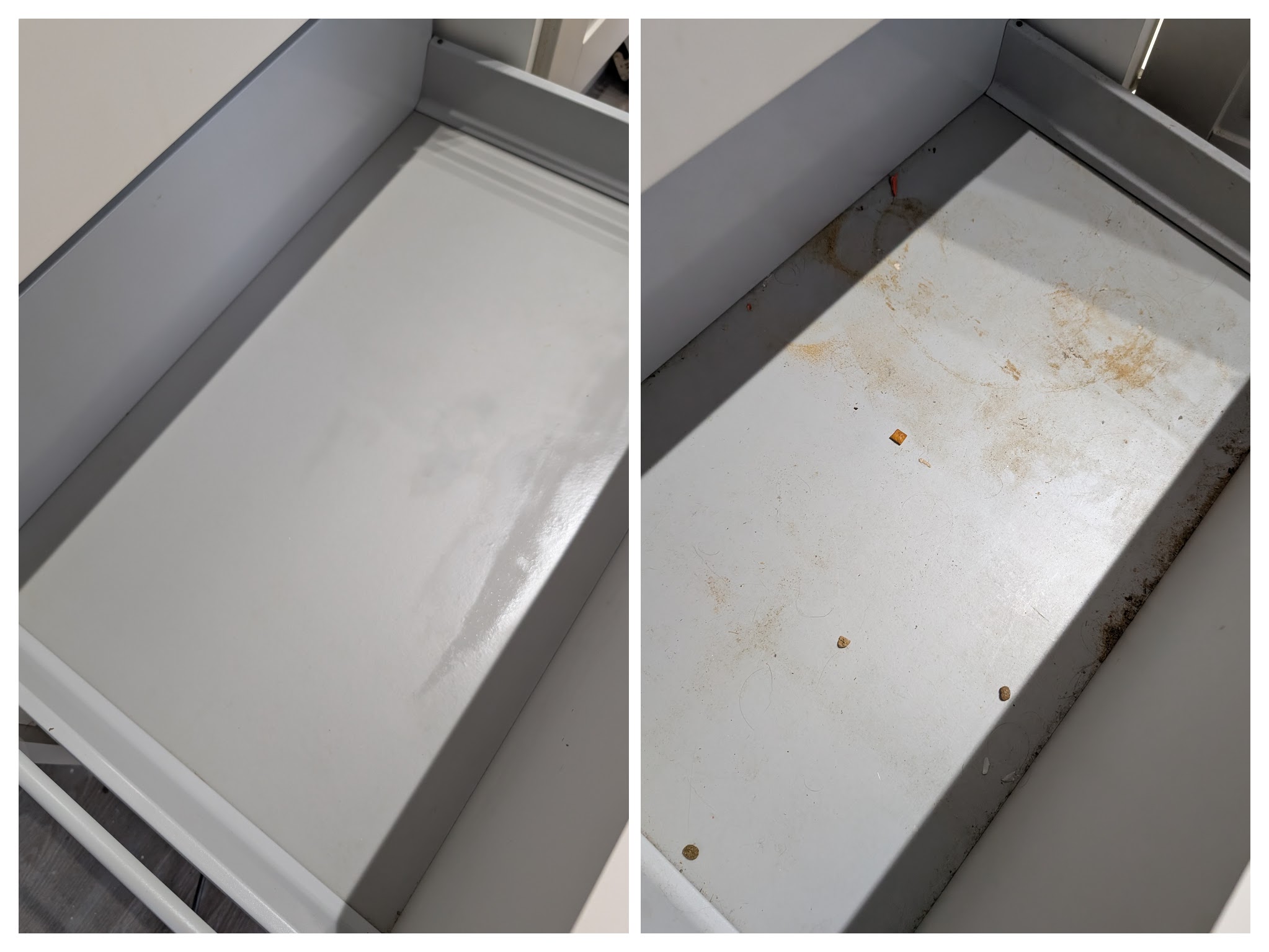Professional cleaning result in Hailsham by Scrubbed Cleaning