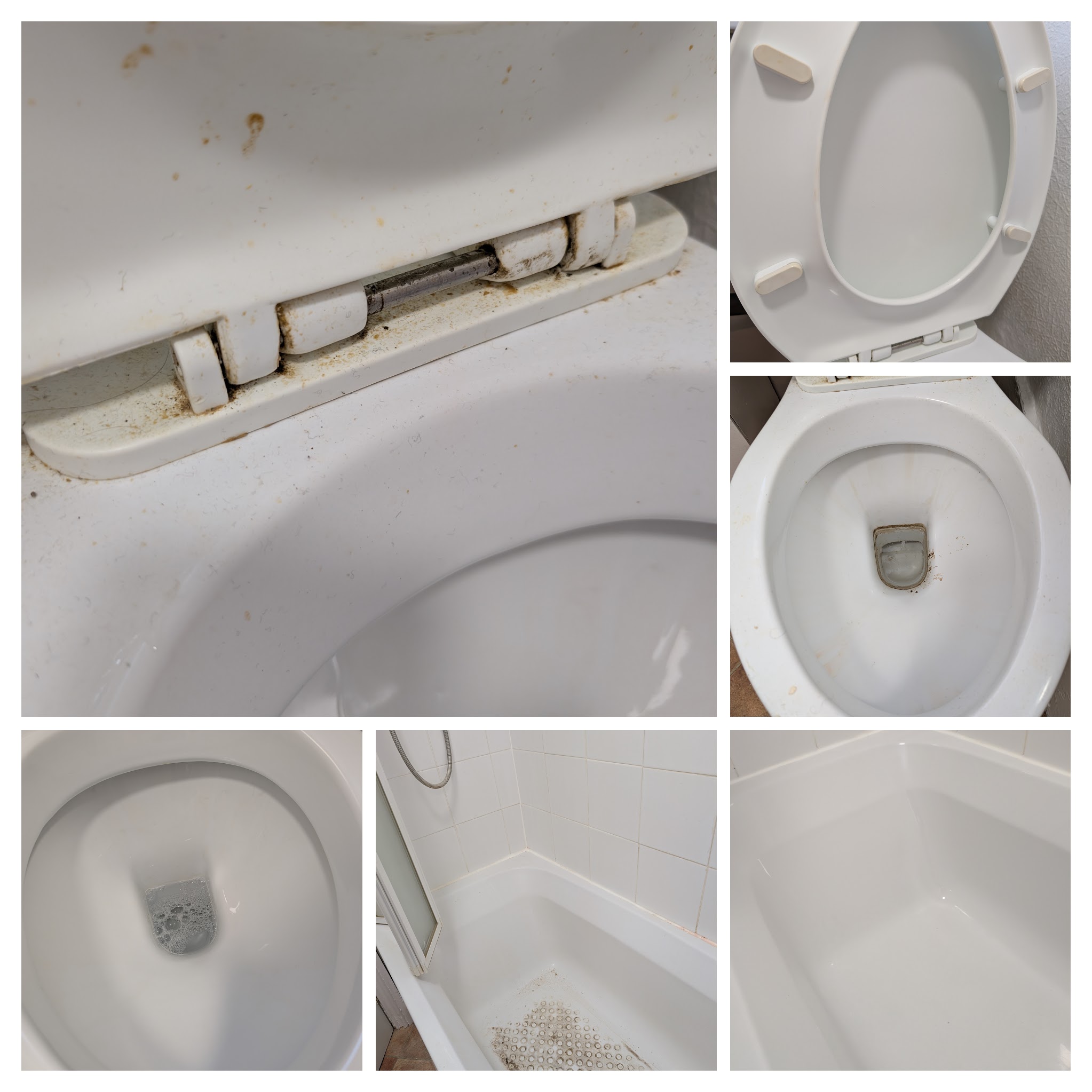 Professional cleaning result in Hailsham by Scrubbed Cleaning