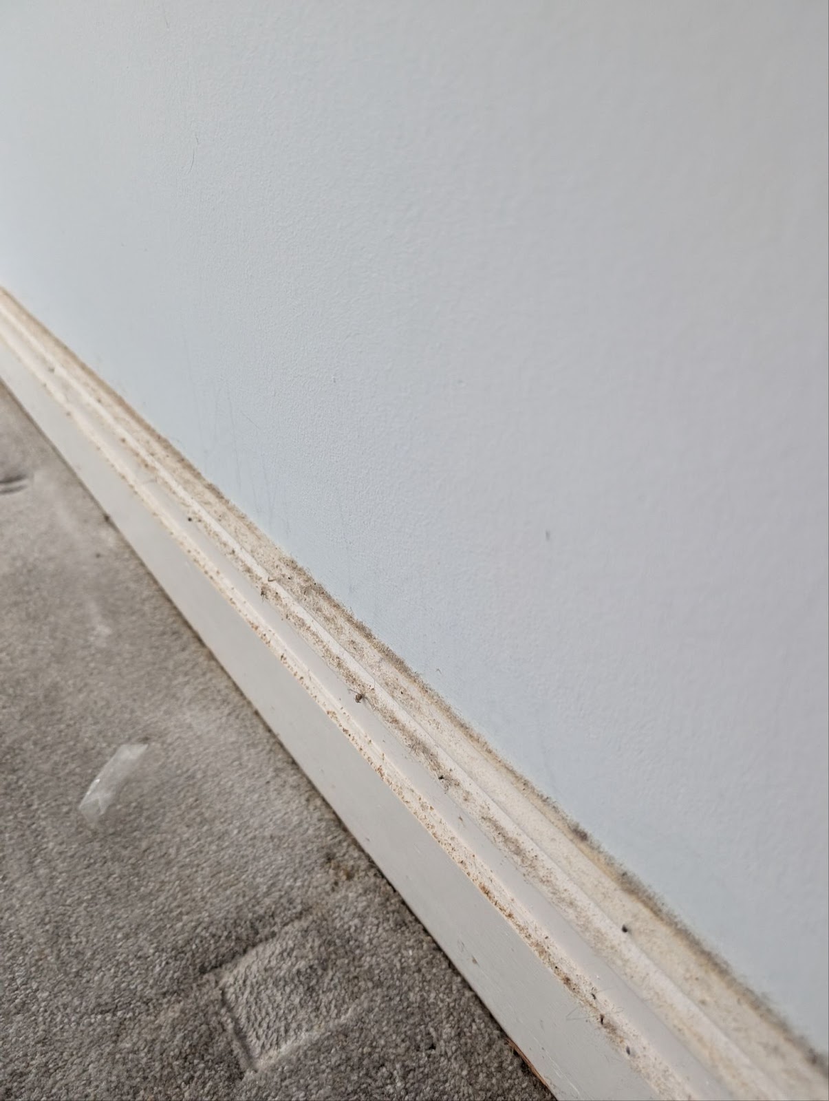 Scrubbed Cleaning Portfolio Image