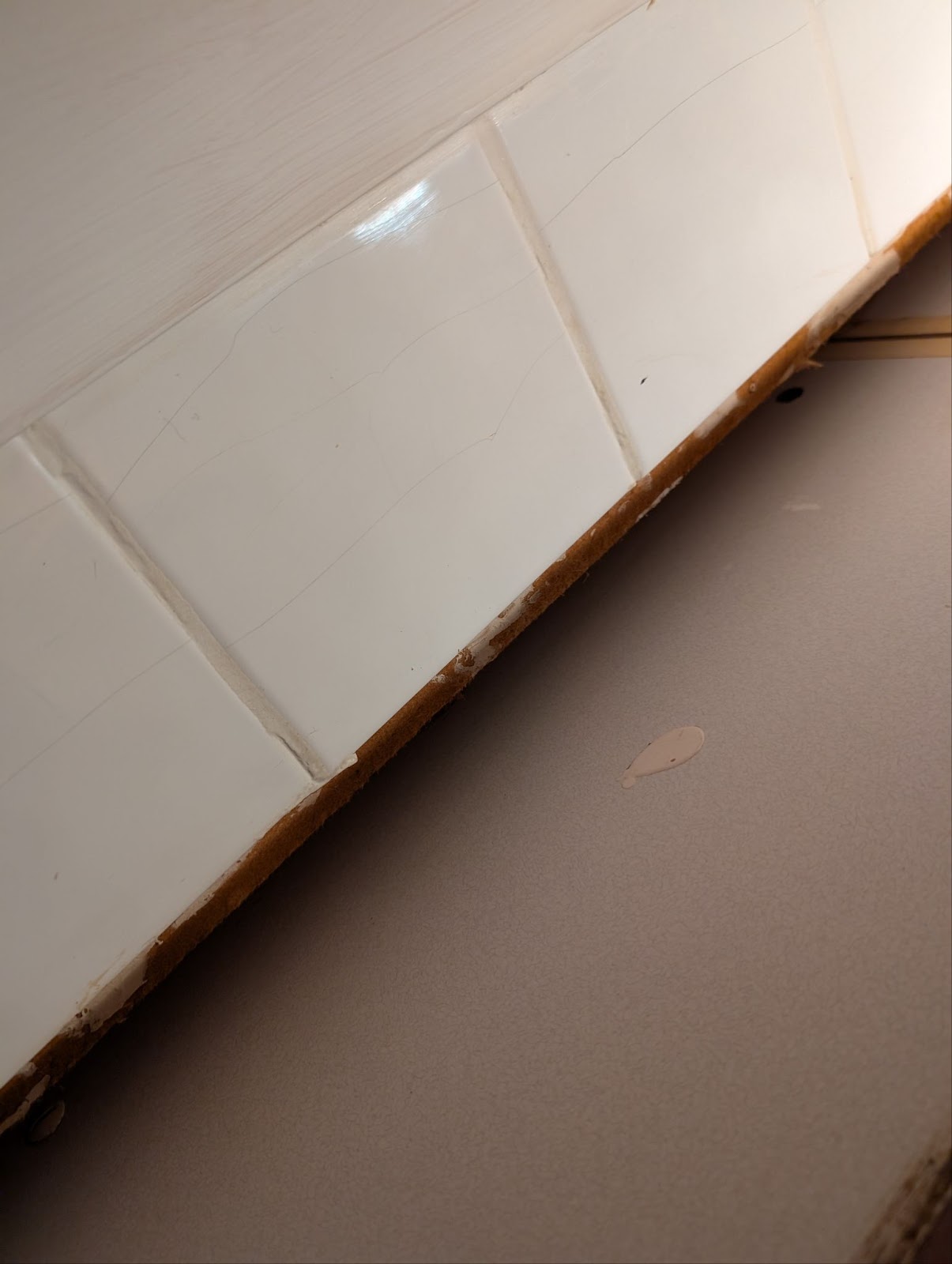 Scrubbed Cleaning Portfolio Image