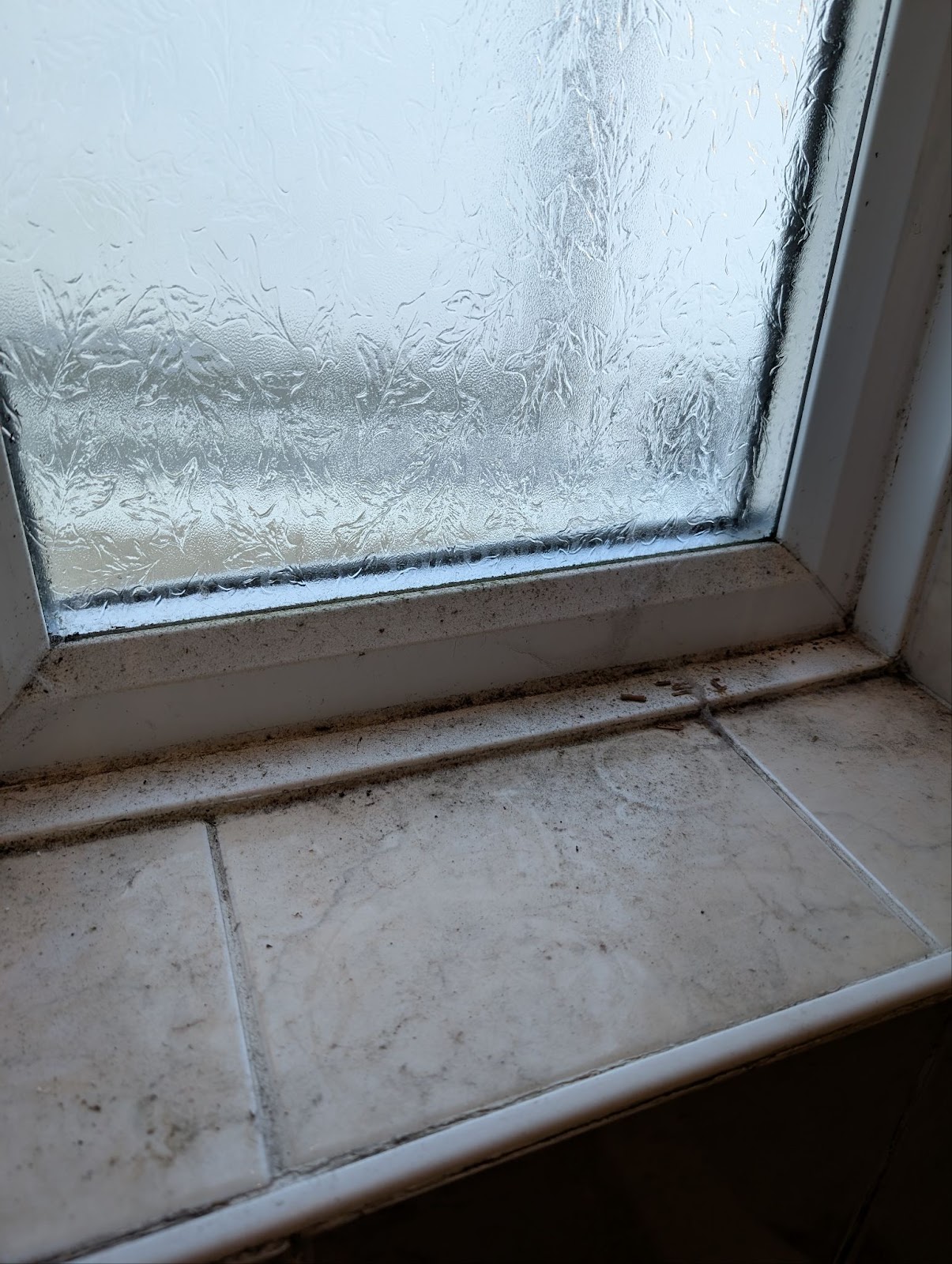 Scrubbed Cleaning Portfolio Image