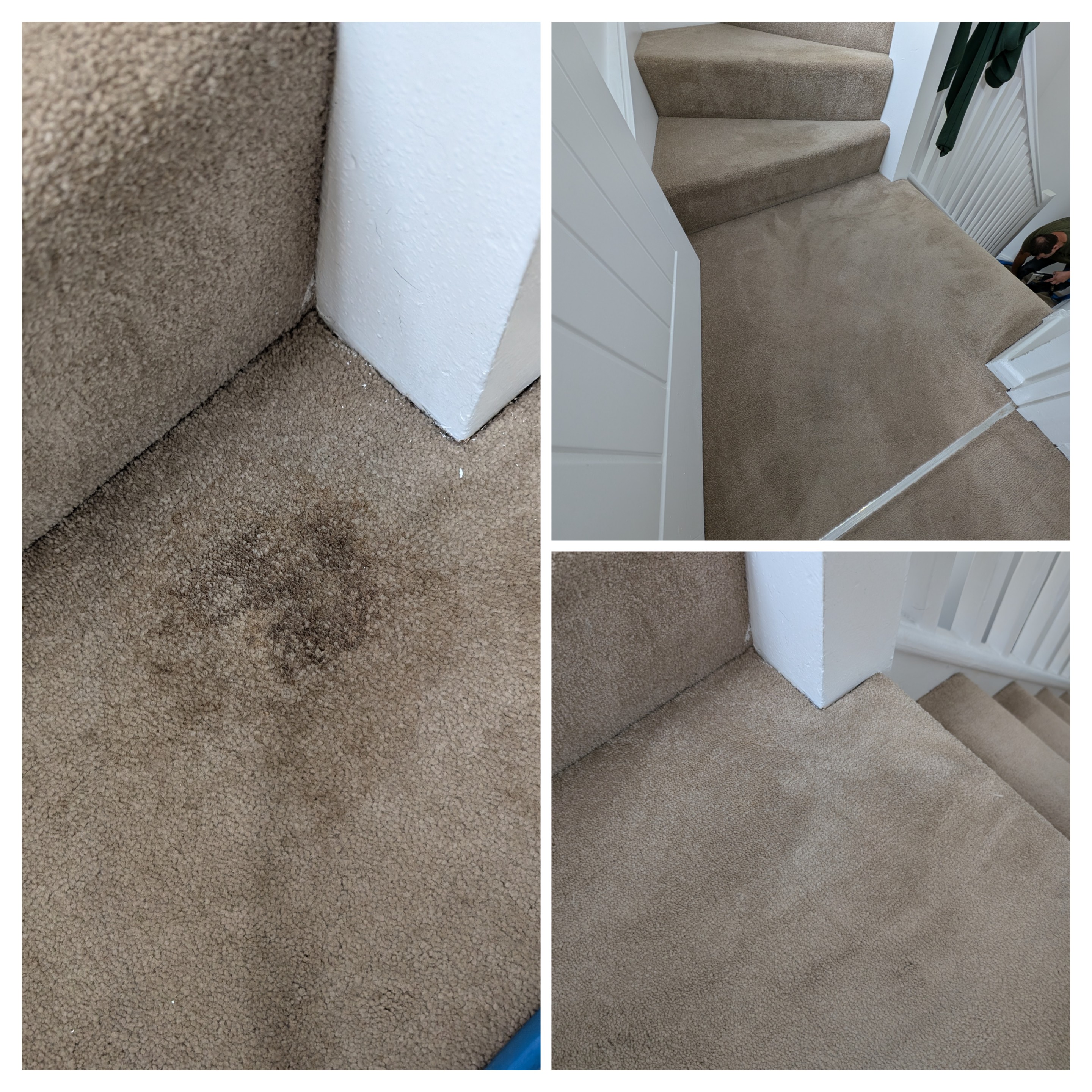 Carpet cleaning before and after in Hailsham