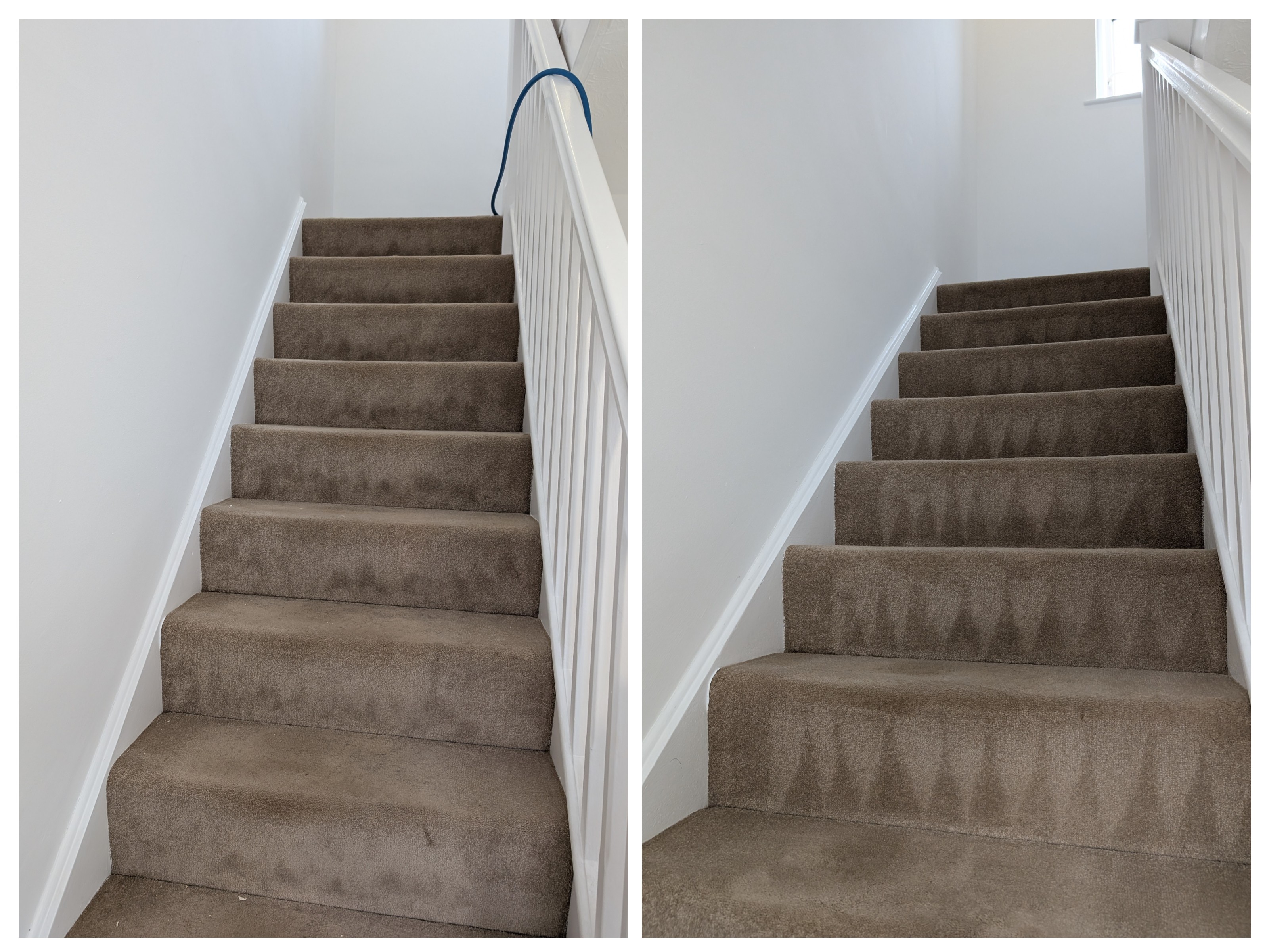 Carpet cleaning before and after in Hailsham