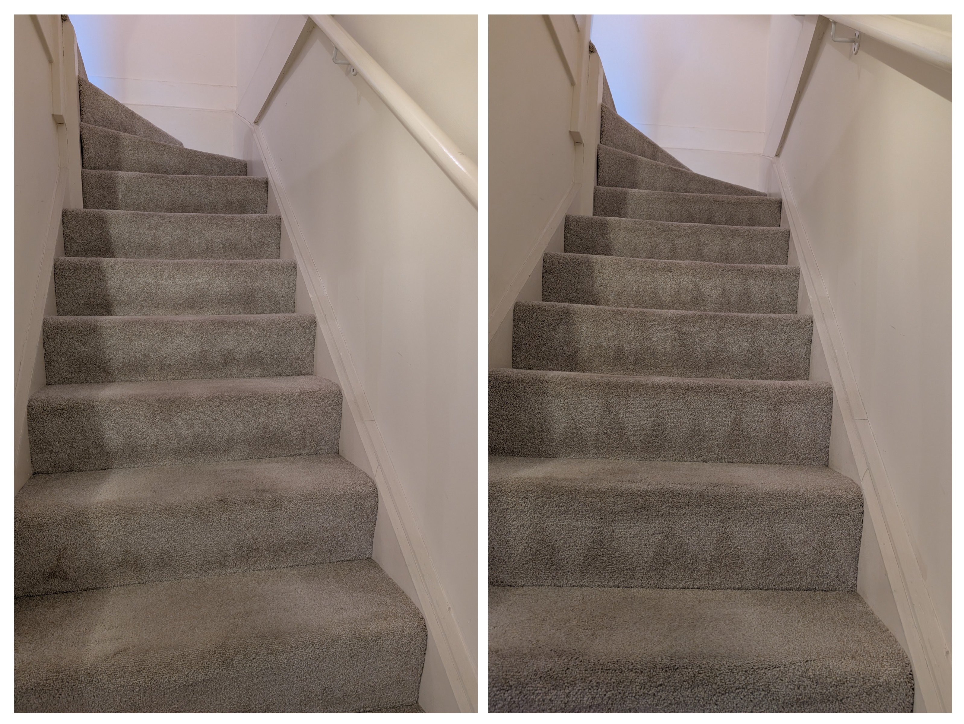 Carpet cleaning before and after in Hailsham