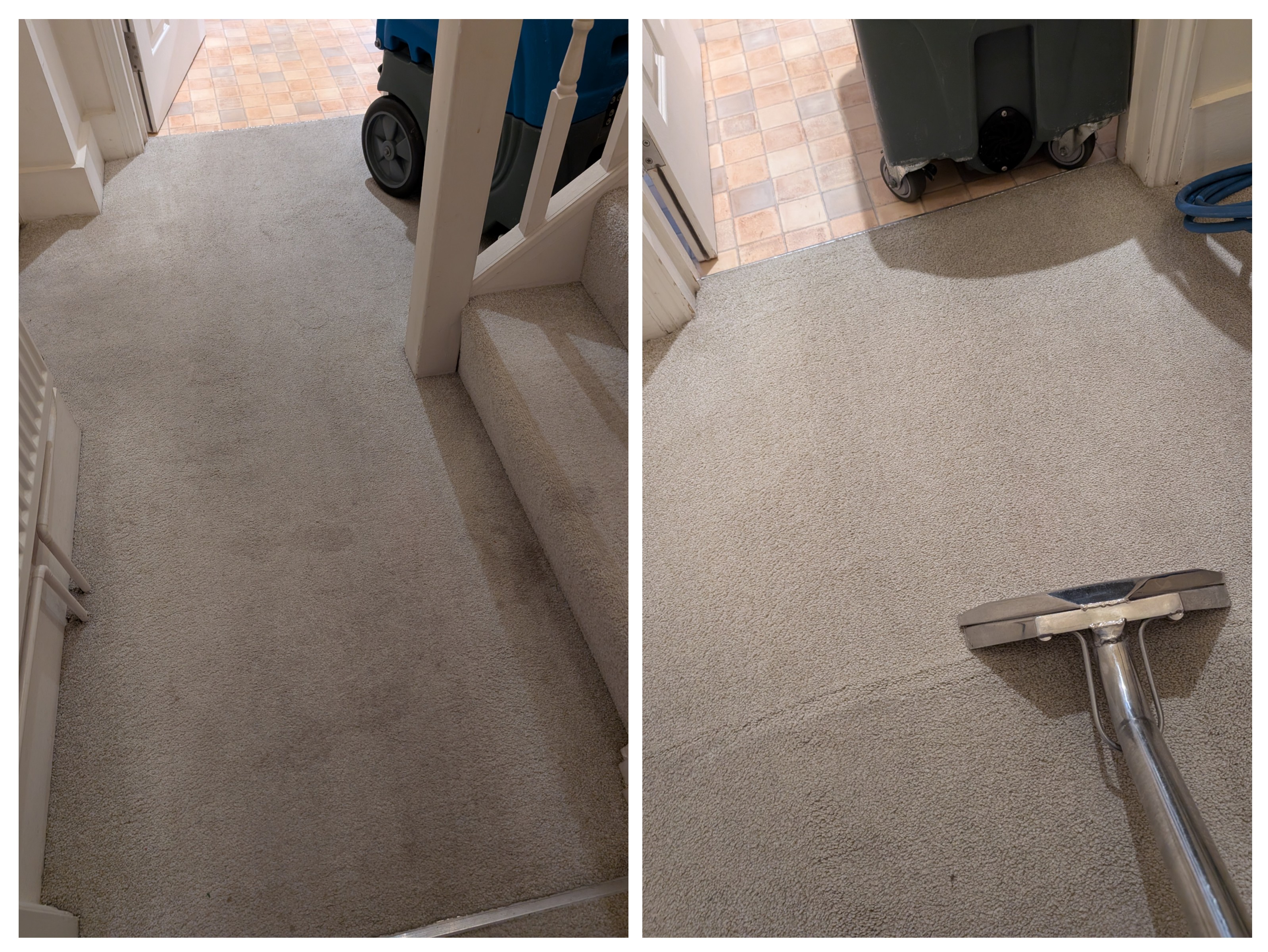 Carpet cleaning before and after in Hailsham