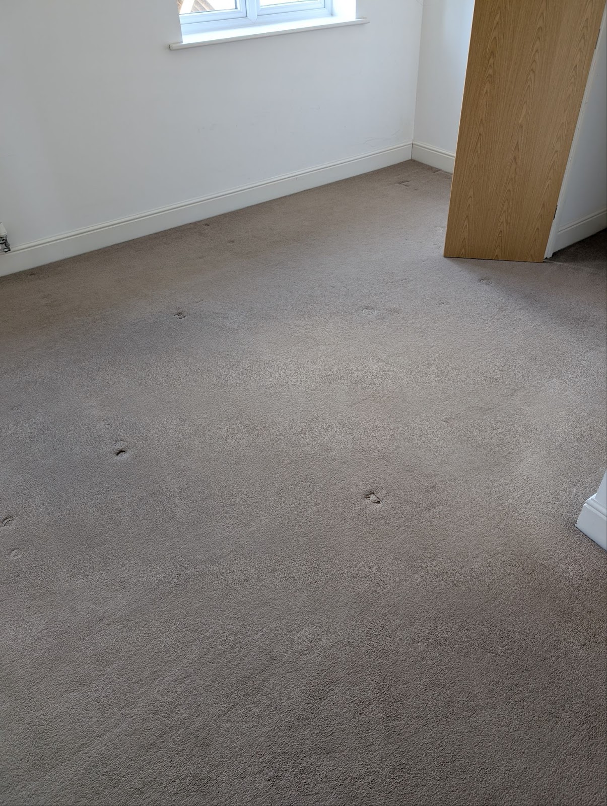 Carpet cleaning example