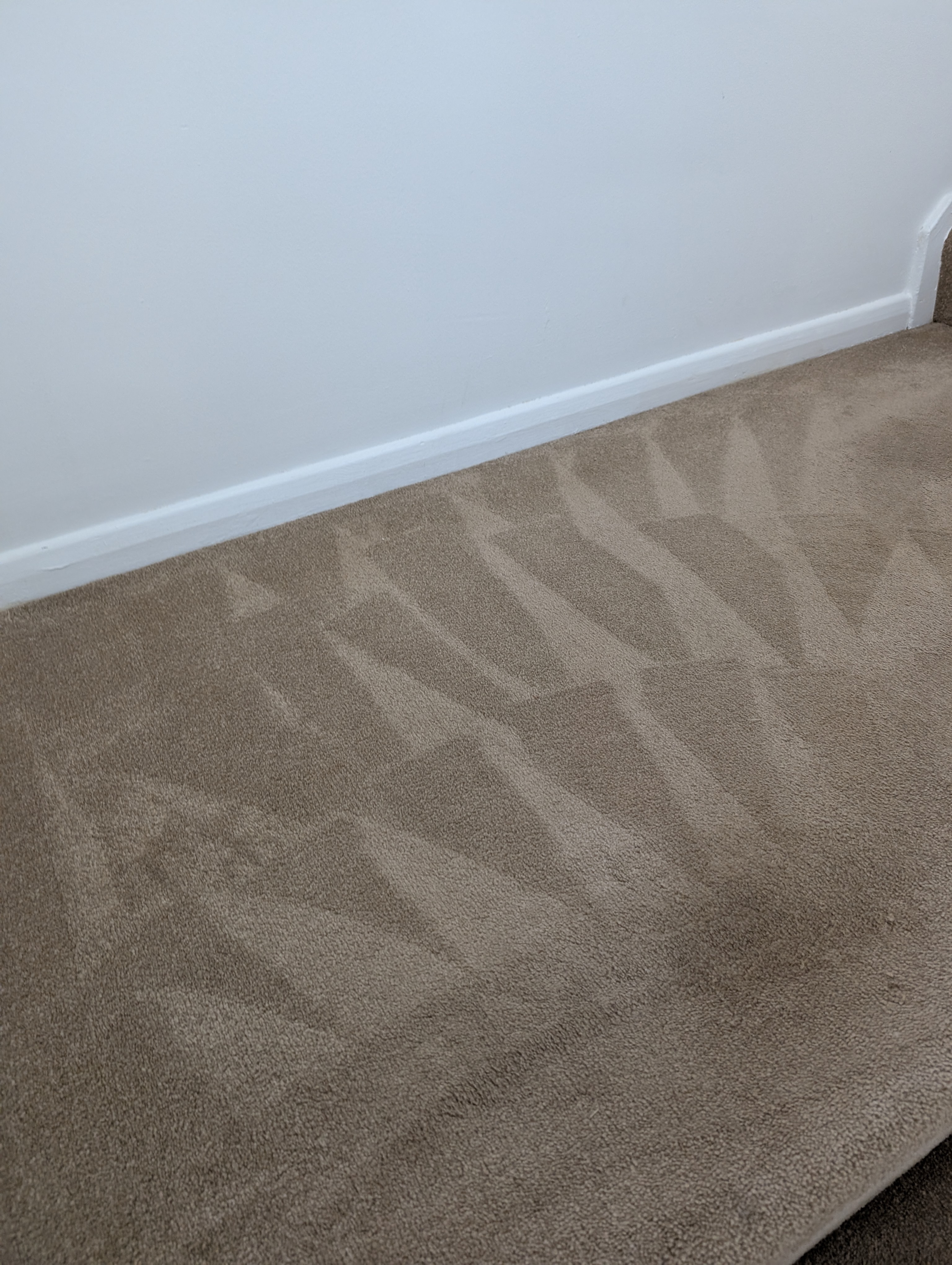 Carpet cleaning before and after in Hailsham