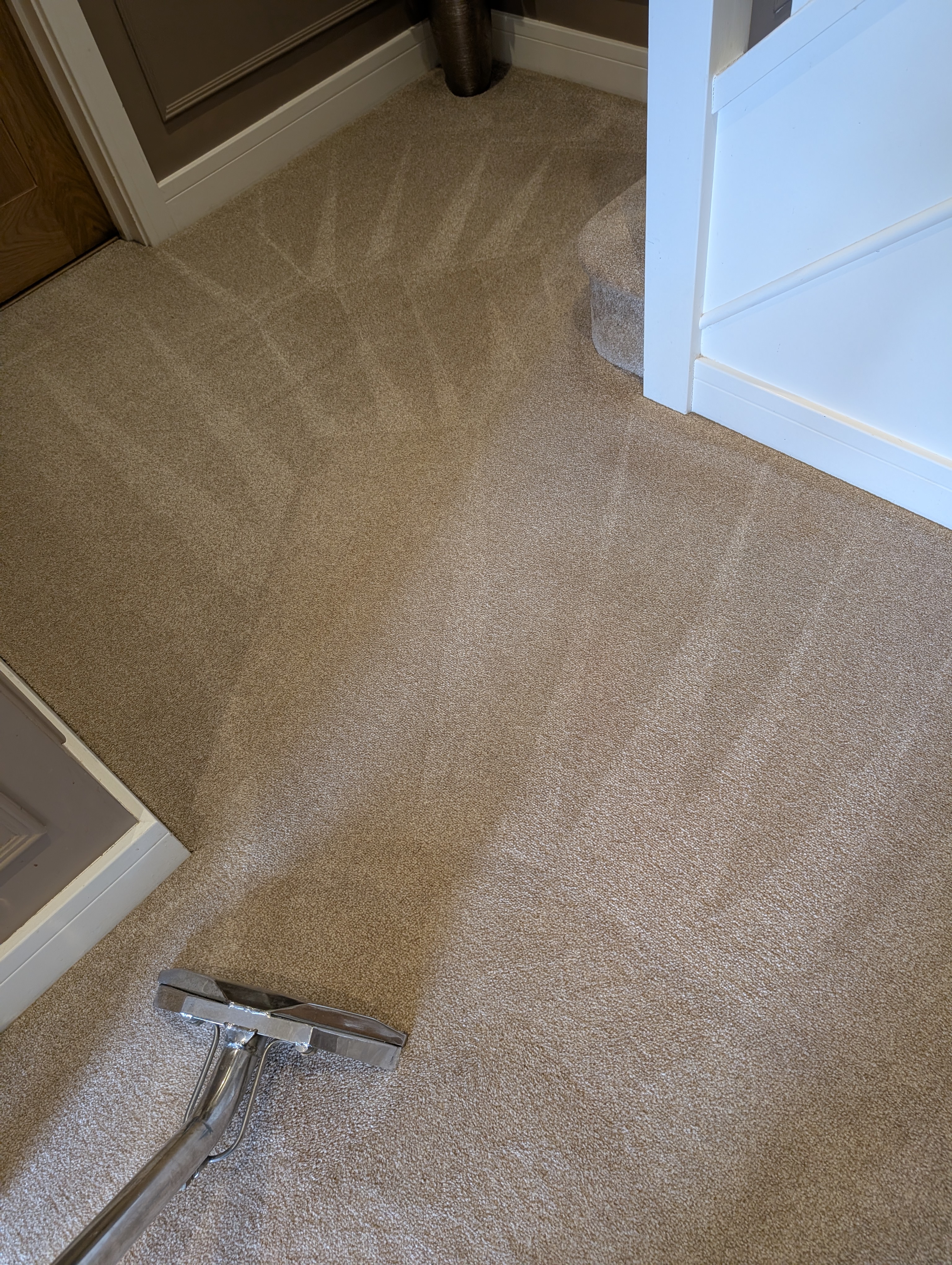 Carpet cleaning before and after in Hailsham