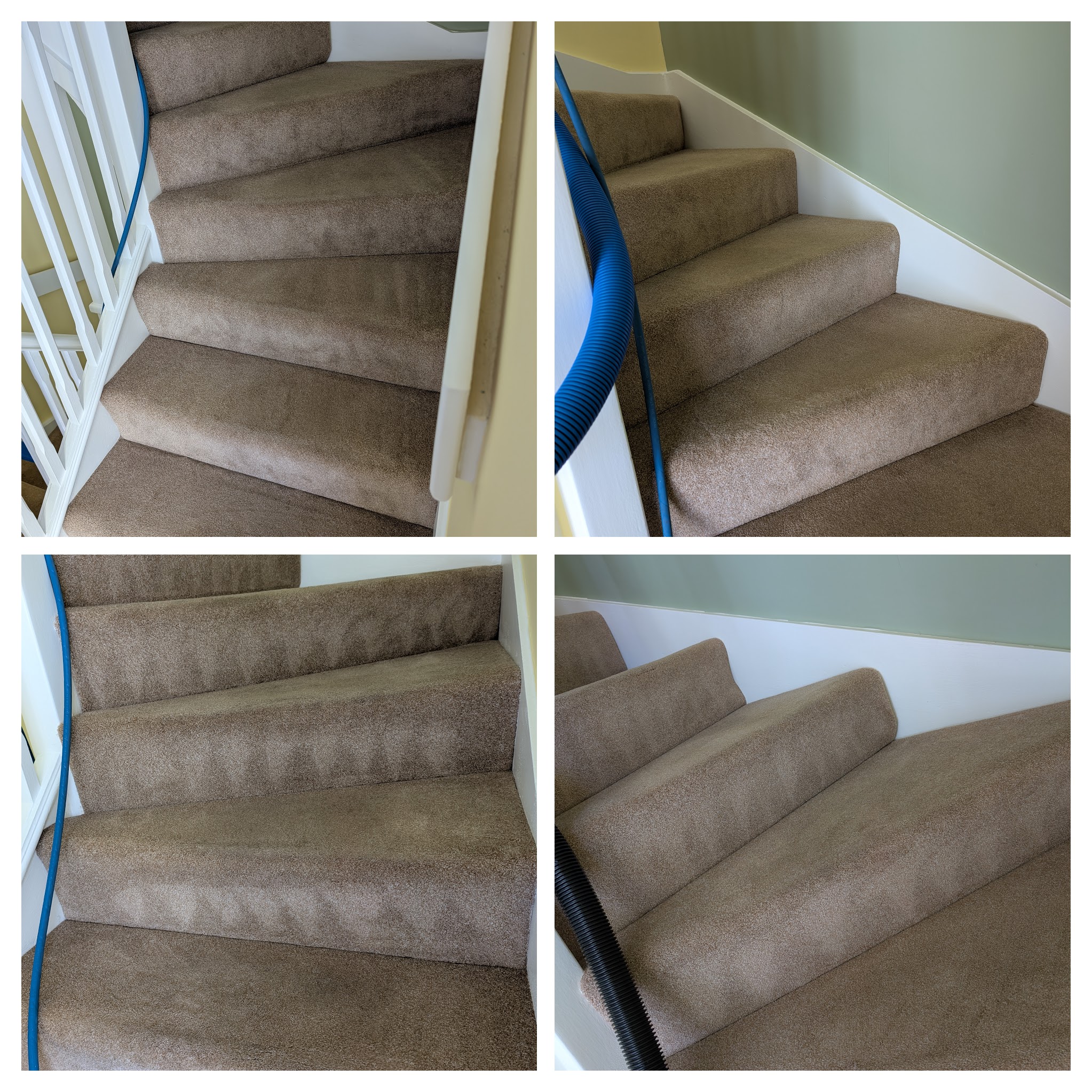 Carpet cleaning before and after in Hailsham