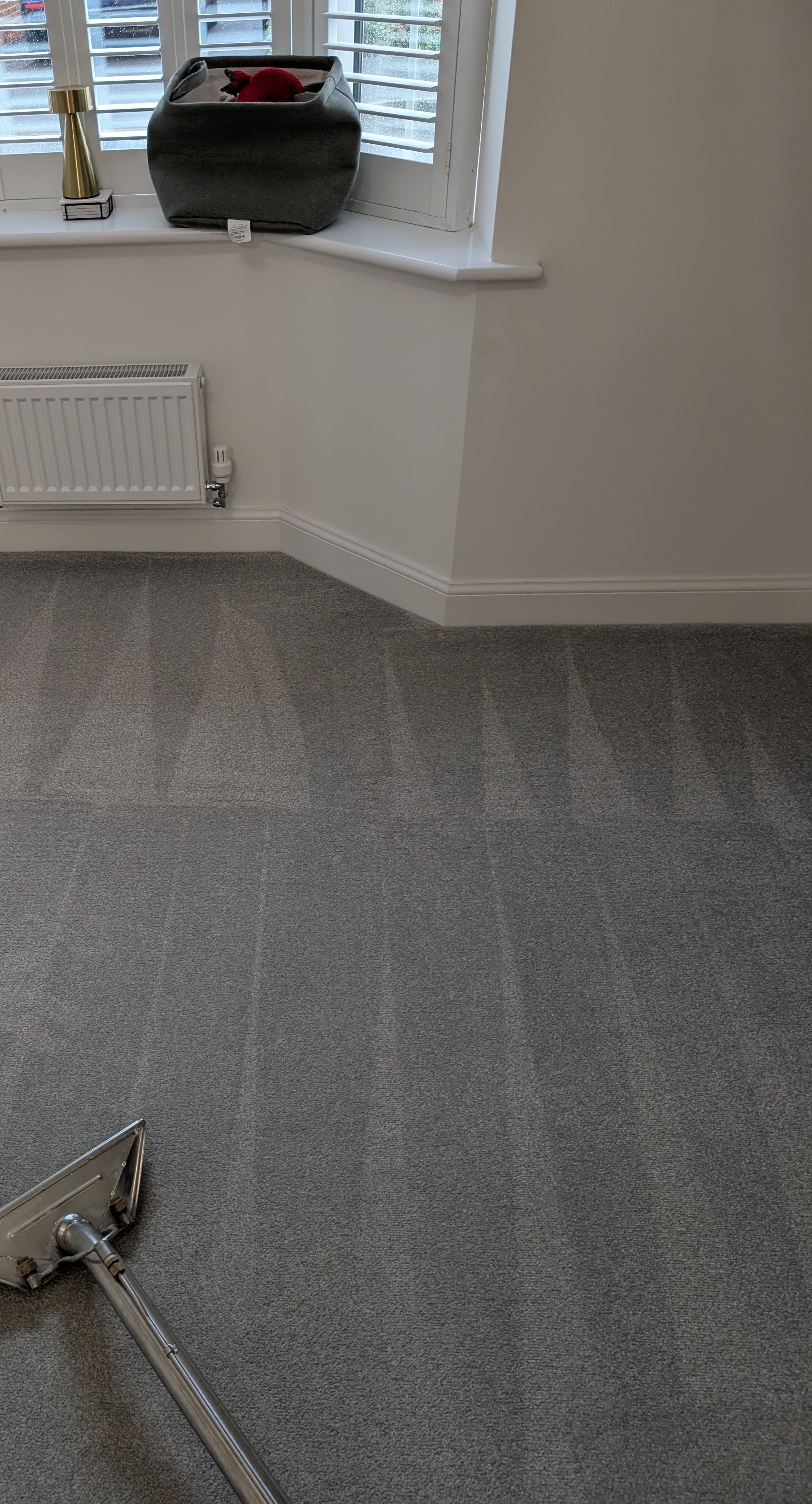 Carpet cleaning before and after in Hailsham