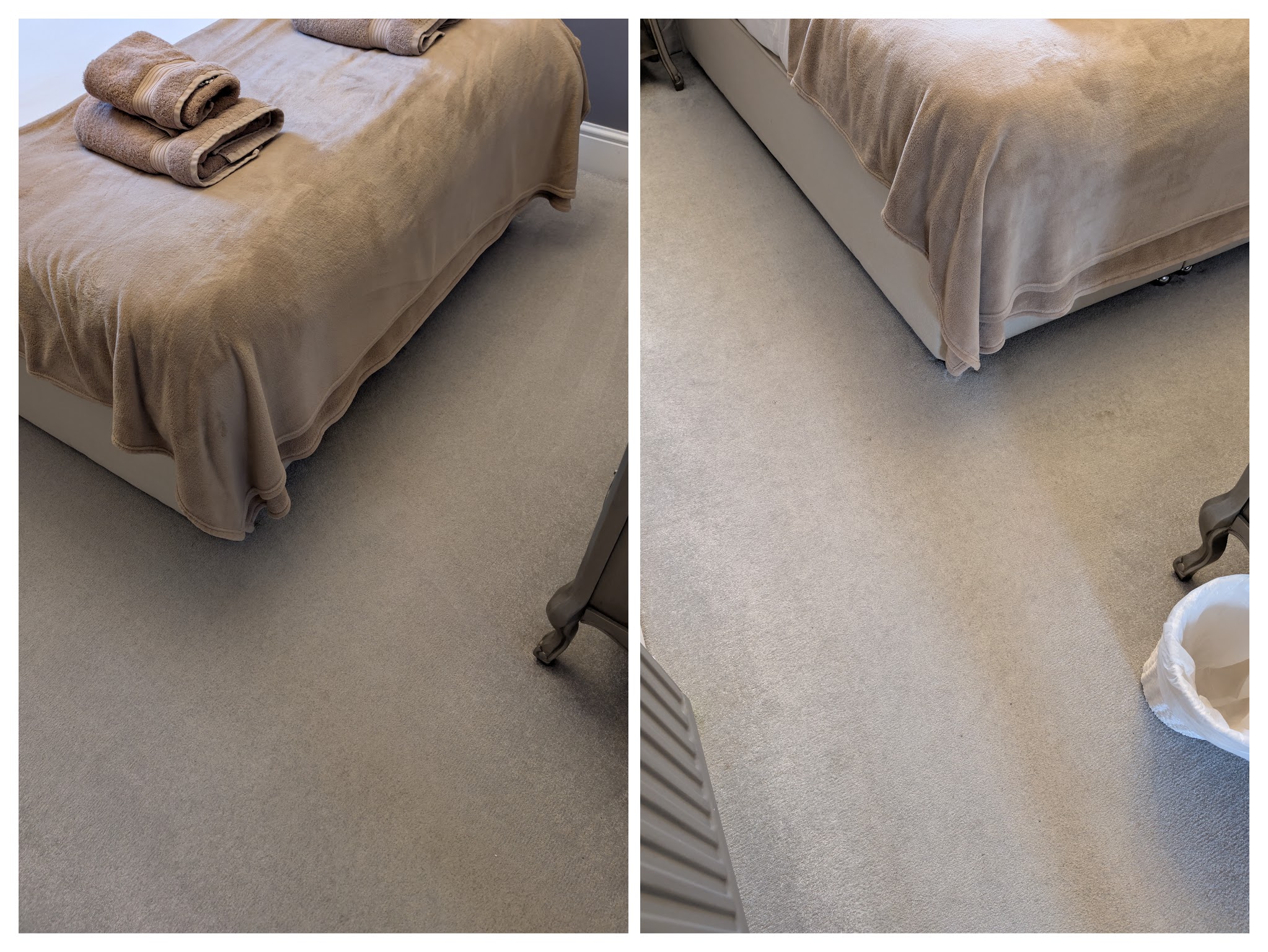 Carpet cleaning before and after in Hailsham