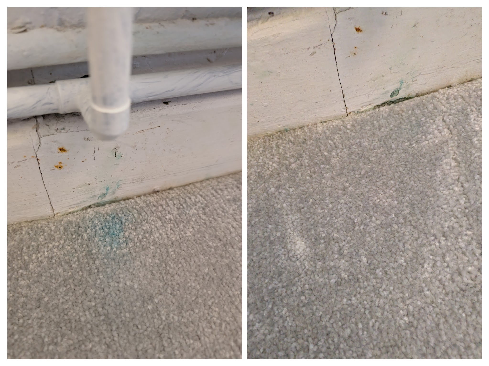 Carpet cleaning before and after in Hailsham