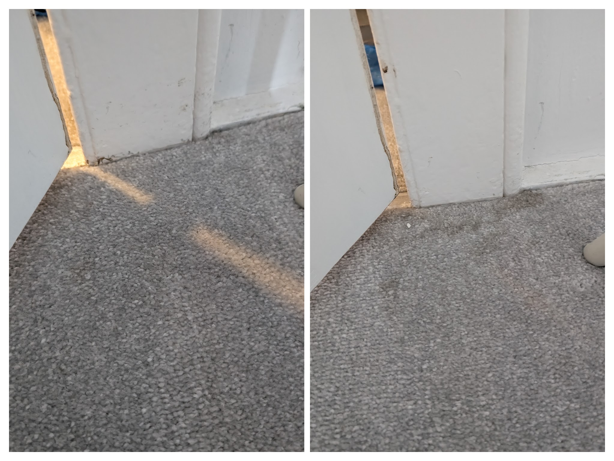 Carpet cleaning before and after in Hailsham