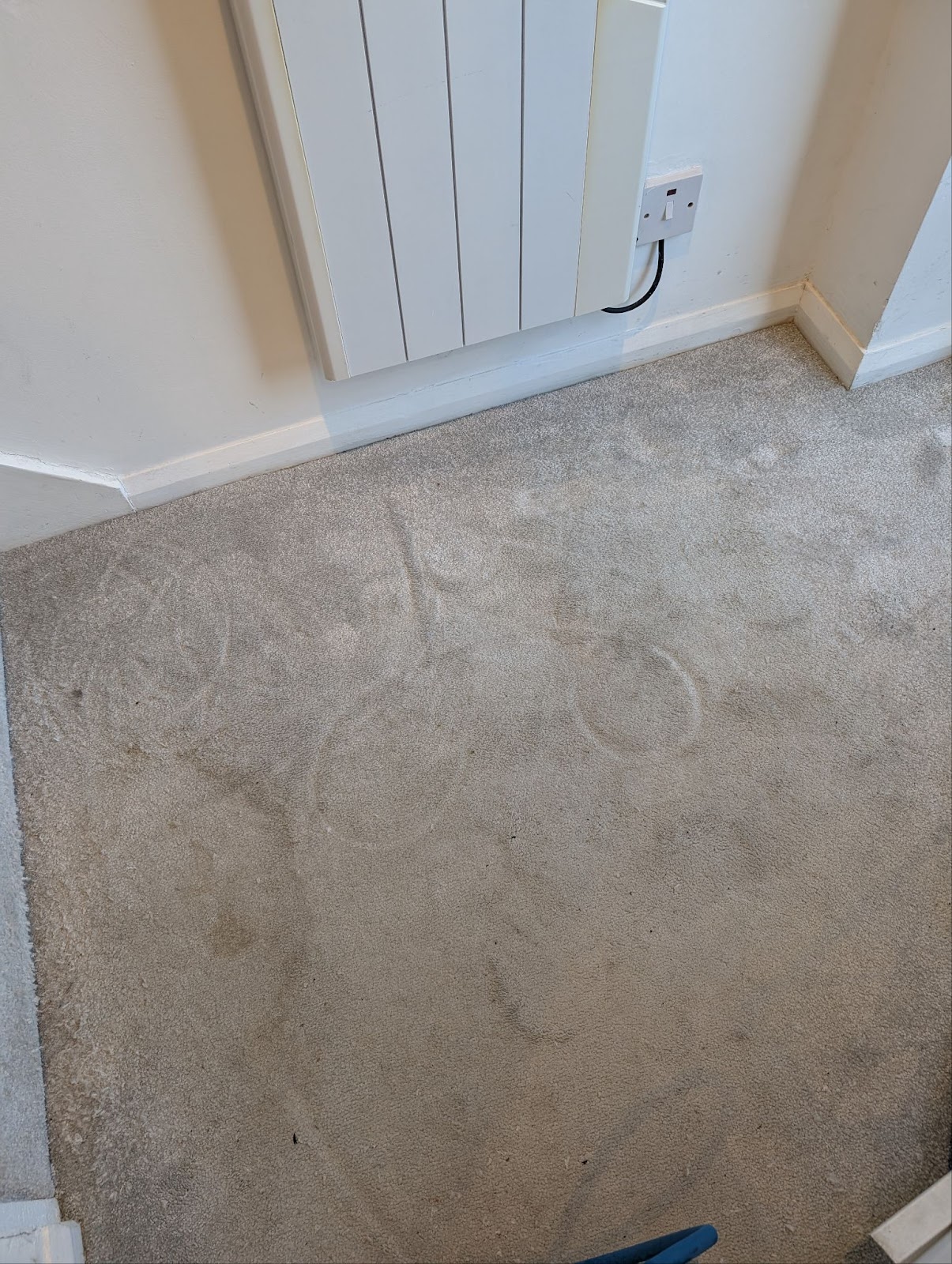 Carpet cleaning example