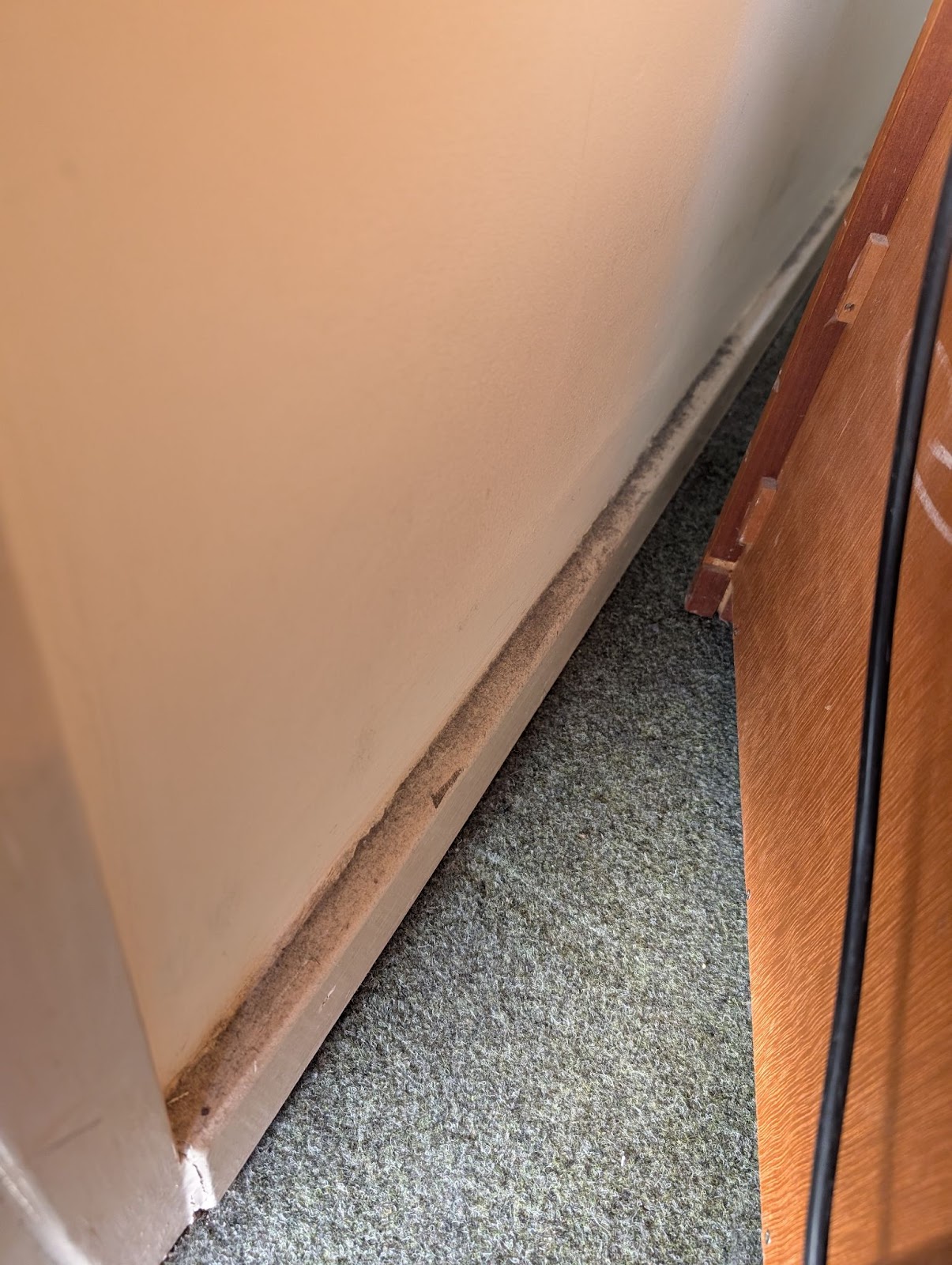 Commercial cleaning example