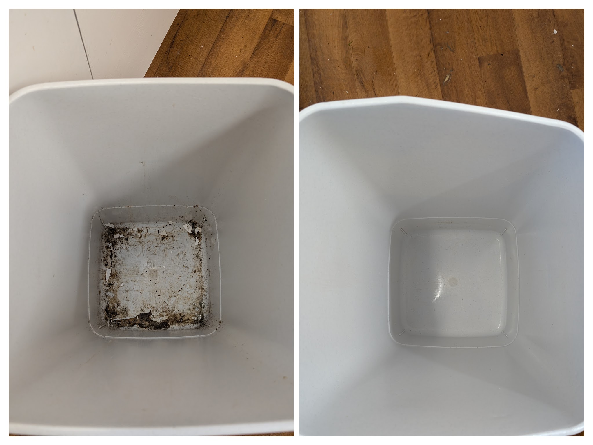 End of tenancy cleaning result in Hailsham