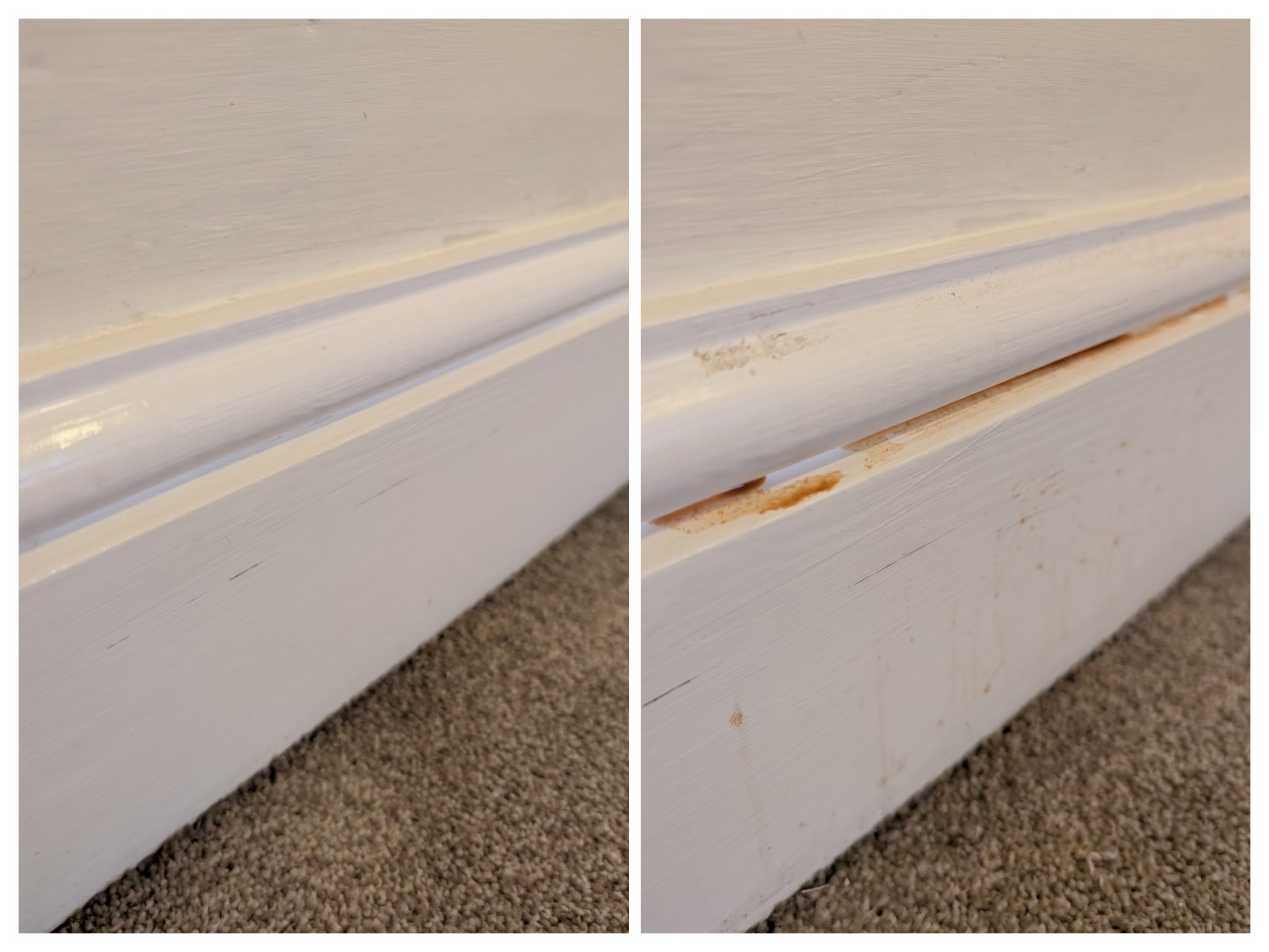 End of tenancy cleaning result in Hailsham