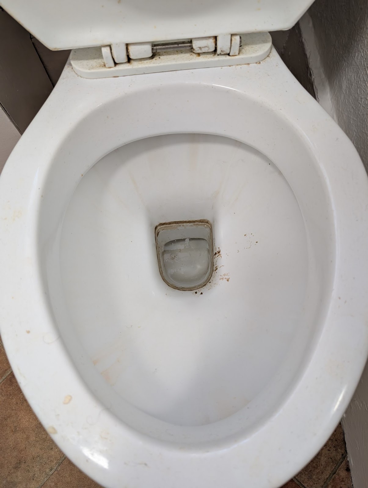 End of tenancy cleaning example