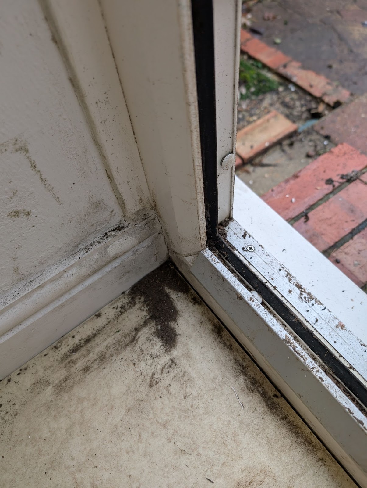 End of tenancy cleaning example