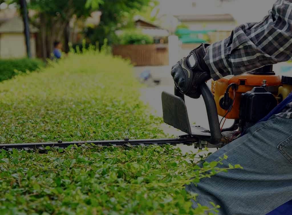 Gardening maintenance example