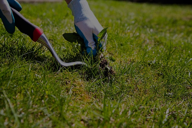 Gardening maintenance example